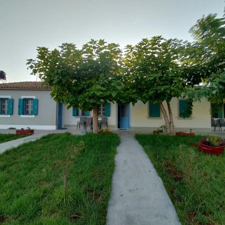 Kalogria Beach Studios Zewnętrze zdjęcie